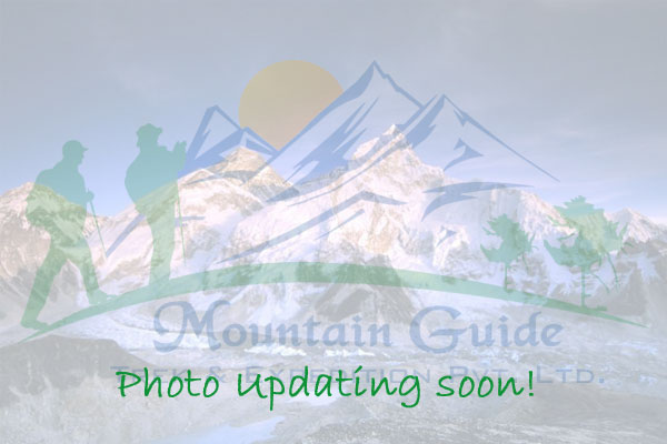 Spectacular mountain view and great service